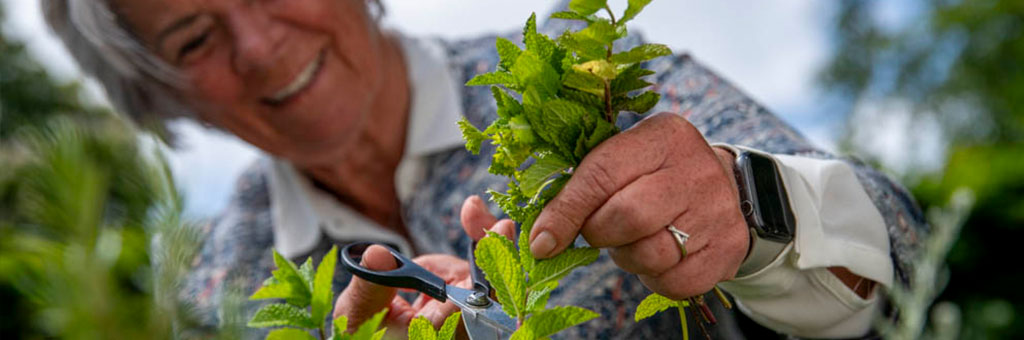 Hulp Dichtbij brengt vraag en aanbod bij elkaar - Lekker Blijven Wonen